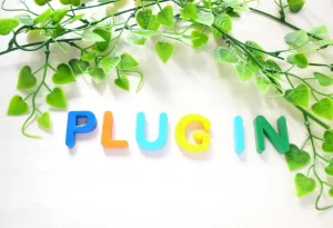 プラグイン plugin